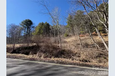 9999 Bee Log Road, Burnsville, NC 28714 - Photo 5