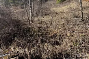 9999 Bee Log Rd, Burnsville, NC 28714 - Photo 7