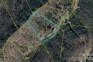 9999 Bee Log Rd, Burnsville, NC 28714 - Photo 1