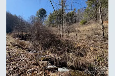 9999 Bee Log Road, Burnsville, NC 28714 - Photo 5