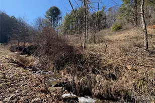 9999 Bee Log Rd, Burnsville, NC 28714 - Photo 5