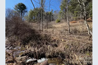 9999 Bee Log Road, Burnsville, NC 28714 - Photo 3