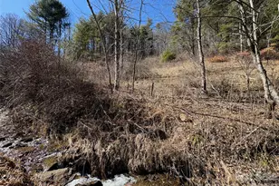 9999 Bee Log Rd, Burnsville, NC 28714 - Photo 3