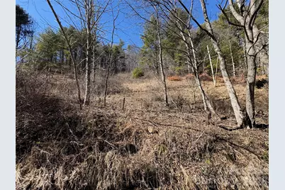 9999 Bee Log Road, Burnsville, NC 28714 - Photo 7
