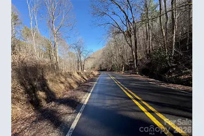 9999 Bee Log Road, Burnsville, NC 28714 - Photo 9