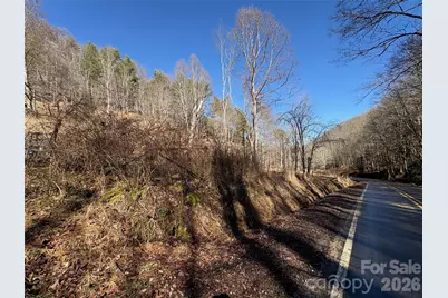 9999 Bee Log Road, Burnsville, NC 28714 - Photo 13