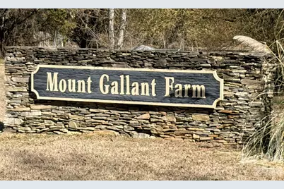 1360 Gallant Court, Rock Hill, SC 29732 - Photo 33