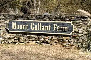 1360 Gallant Ct, Rock Hill, SC 29732 - Photo 33