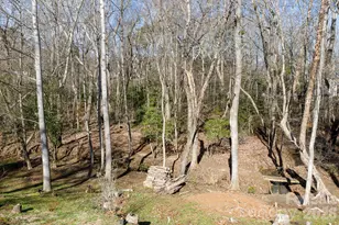 2405 Emma Grace Ln, Rock Hill, SC 29732 - Photo 37