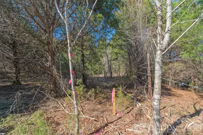 00 Cemetery Road #1 & 2, Fort Lawn, SC 29714 - Photo 17