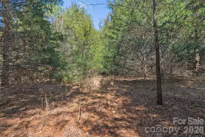 00 Cemetery Road #1 & 2, Fort Lawn, SC 29714 - Photo 15