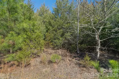 00 Cemetery Road #1 & 2, Fort Lawn, SC 29714 - Photo 9
