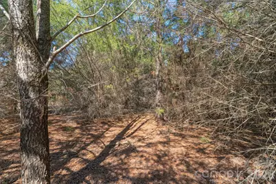 00 Cemetery Road #1 & 2, Fort Lawn, SC 29714 - Photo 23