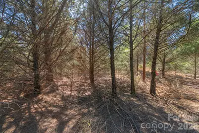 00 Cemetery Road #1 & 2, Fort Lawn, SC 29714 - Photo 21