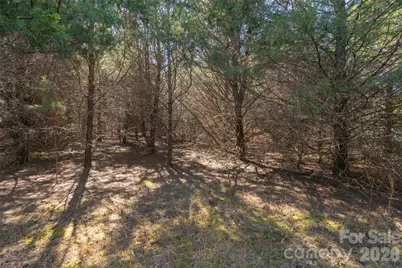 00 Cemetery Road #1 & 2, Fort Lawn, SC 29714 - Photo 19