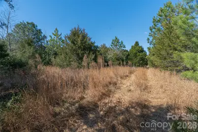 00 Cemetery Road #1 & 2, Fort Lawn, SC 29714 - Photo 13
