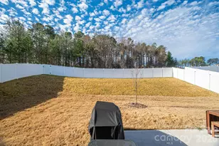 5207 Piedmont Run Rd, Mount Holly, NC 28120 - Photo 33