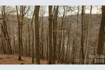 0000 Devils Knob Road, Mars Hill, NC 28754 - Photo 9