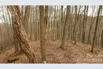 0000 Devils Knob Road, Mars Hill, NC 28754 - Photo 5