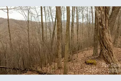 0000 Devils Knob Road, Mars Hill, NC 28754 - Photo 7