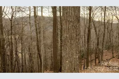 0000 Devils Knob Road, Mars Hill, NC 28754 - Photo 11