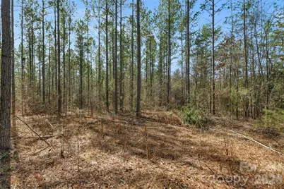 000 Peacehaven Road #1, McConnells, SC 29726 - Photo 23