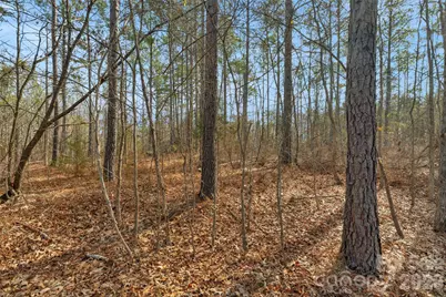 000 Peacehaven Road #1, McConnells, SC 29726 - Photo 15