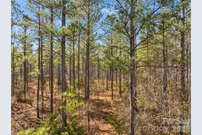 000 Peacehaven Road #1, McConnells, SC 29726 - Photo 3