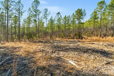 000 Peacehaven Road #1, McConnells, SC 29726 - Photo 13