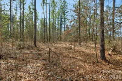 000 Peacehaven Road #1, McConnells, SC 29726 - Photo 11