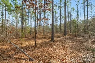 000 Peacehaven Road #1, McConnells, SC 29726 - Photo 29