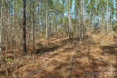 000 Peacehaven Road #1, McConnells, SC 29726 - Photo 19