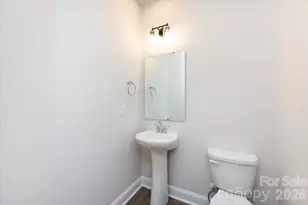 4619 Swan Meadow Ln, Charlotte, NC 28226 - Photo 21