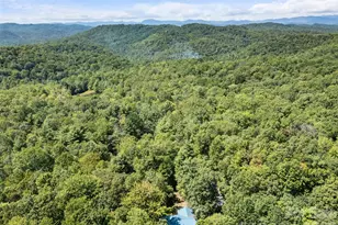 1756 Happy Acres Rd, Brevard, SC 28712 - Photo 33