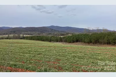 600 Moriah School Road, Casar, NC 28020 - Photo 3