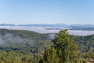 58 Carriage Highlands Ct, Hendersonville, NC 28791 - Photo 41