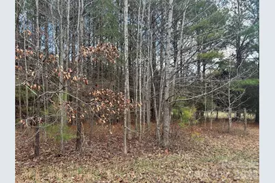 7.6 +/- Ac Pioneer Road, York, SC 29745 - Photo 5