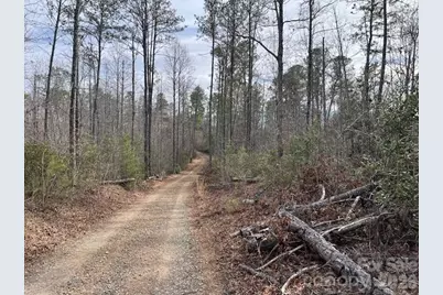 Tbd Quiet Creek Lane #16, Collettsville, NC 28611 - Photo 5