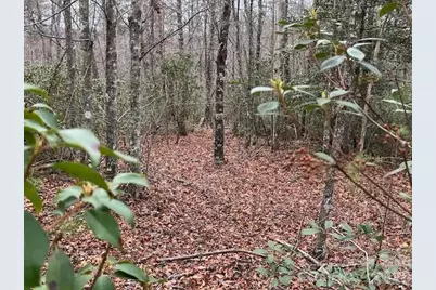 Tbd Quiet Creek Lane #16, Collettsville, NC 28611 - Photo 9