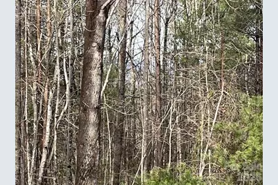 3645 Blue Door School Road, Lenoir, NC 28645 - Photo 21