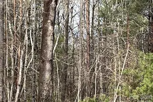 3645 Blue Door School Rd, Lenoir, NC 28645 - Photo 21