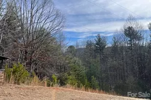 3645 Blue Door School Rd, Lenoir, NC 28645 - Photo 19