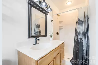 52 Baby Jane Lane, Hendersonville, NC 28792 - Photo 19