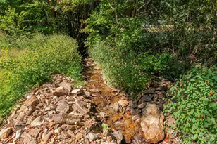 240 Little Cove Rd, Waynesville, NC 28786 - Photo 19