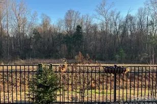 3081 Spring Forest Rd, Harrisburg, NC 28075 - Photo 41