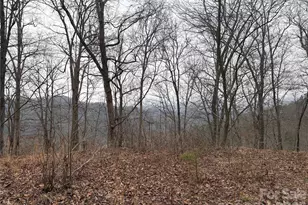 00 Brush Creek Rd, Bryson City, NC 28713 - Photo 5