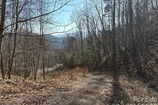 00 Brush Creek Rd, Bryson City, NC 28713 - Photo 17