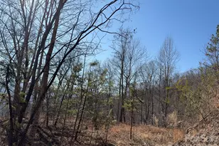 00 Brush Creek Rd, Bryson City, NC 28713 - Photo 9