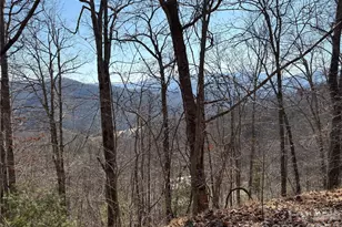 00 Brush Creek Rd, Bryson City, NC 28713 - Photo 11