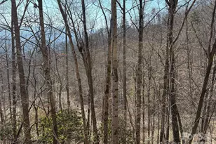 00 Brush Creek Rd, Bryson City, NC 28713 - Photo 15